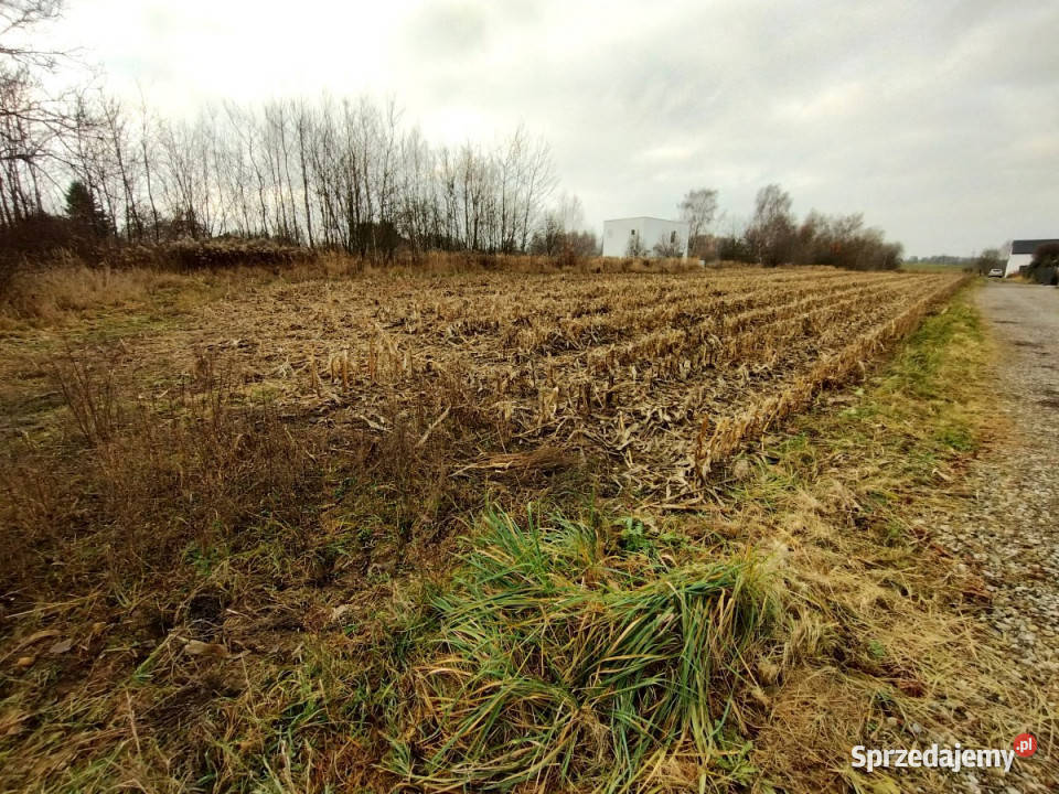 Sprzedam grunt 1700m2 PłouszowiceKolonia 77m Płouszowice-Kolonia