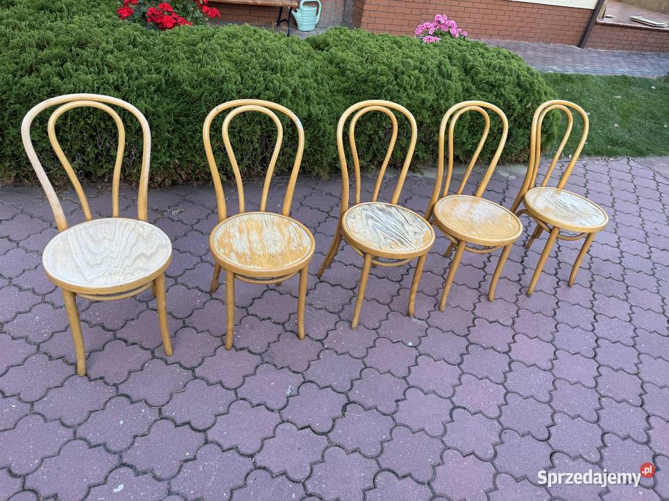 Krzesła gięte 5 Fameg do renowacji art deco Sulbiny