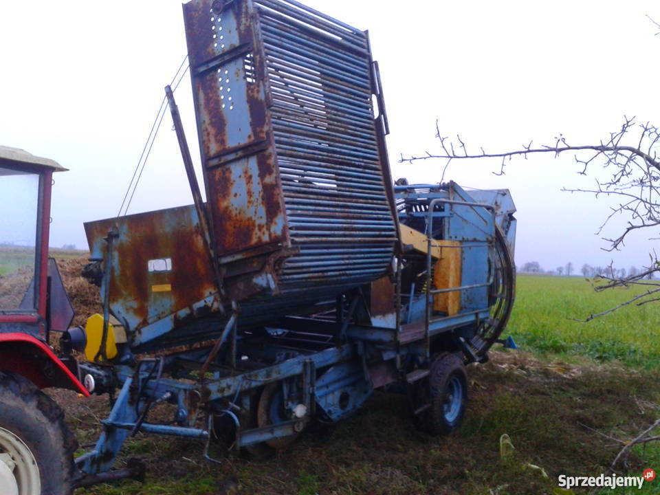Kombajn ziemniaczany Anna Z664 Czarnocin sprzedam