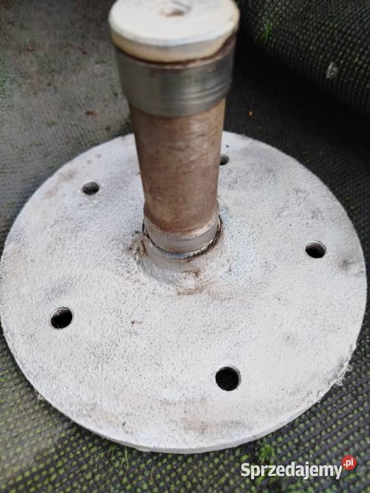 Piasta os kompletna poznaniak Stankowo