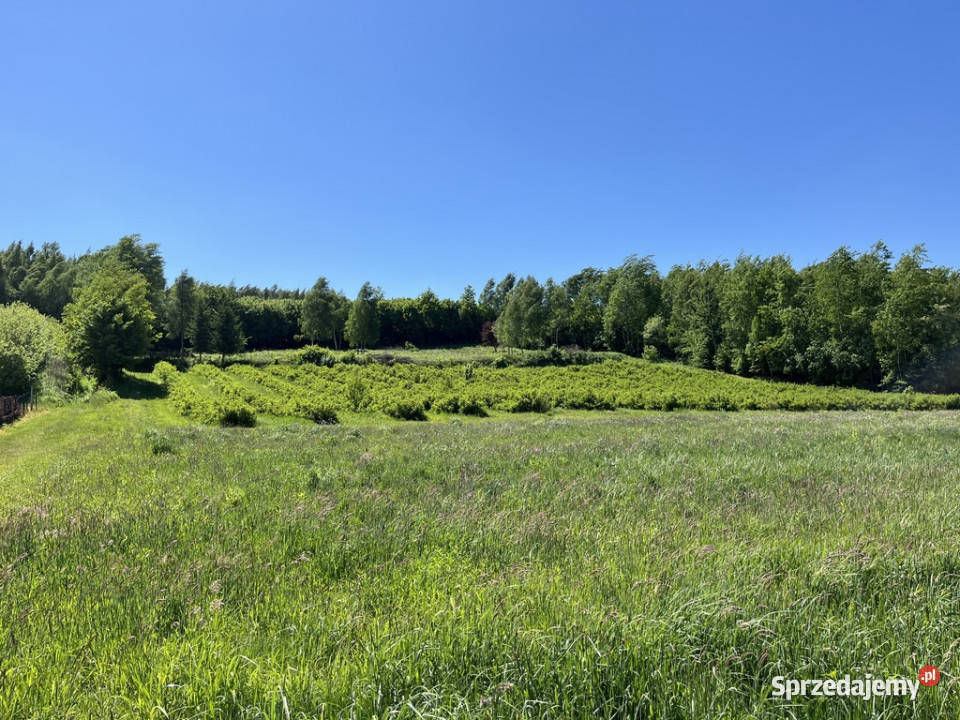 Działka 3580 m2 w Kazimierzu Dolnym 4 rynku