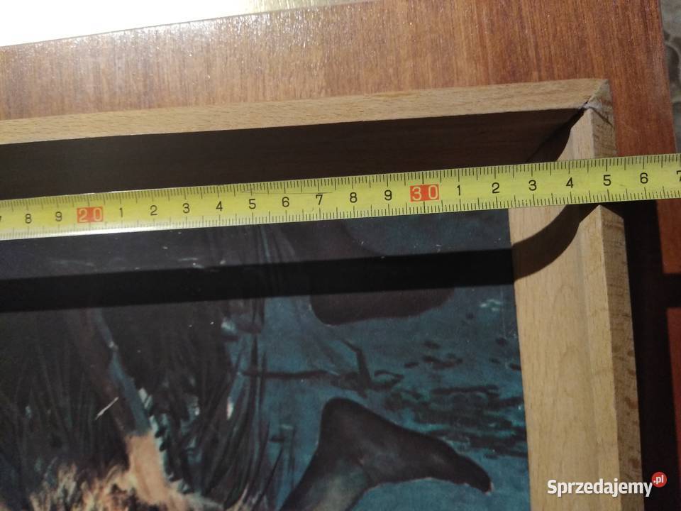 Stary obraz reprodukcja Rybak Leona Pozostałe Dąbrowa Górnicza