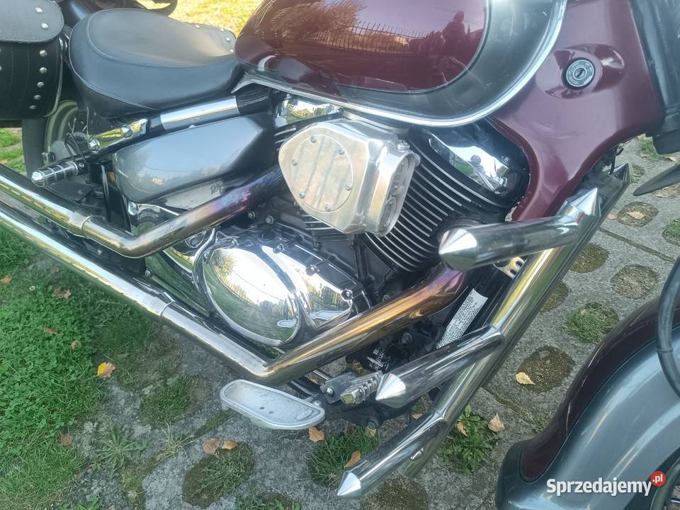 Suzuki VL 800 Volusia Suzuki Frysztak