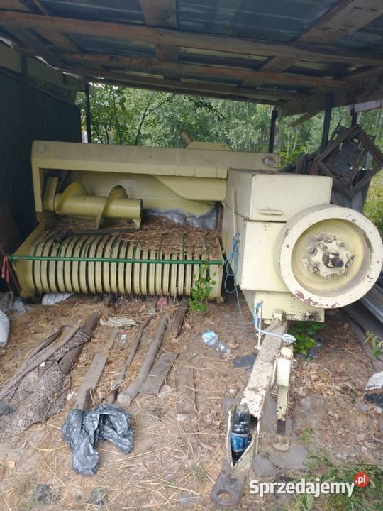 2004 siema z224 podkarpackie Pilzno