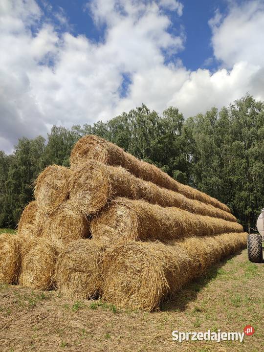Słoma 2023 Przegaliny Duże
