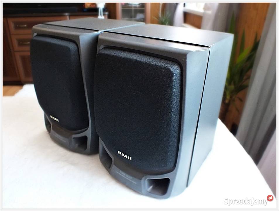 Kolumny AIWA SXNS10 Piękne dynamiczne i czyste Żary