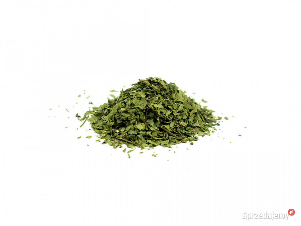 Lubczyk suszony liść 100g Brzozów