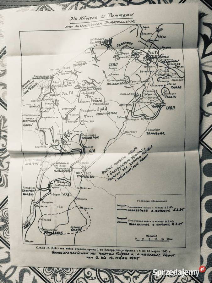 3780 Pomorska Pasja Szczecin