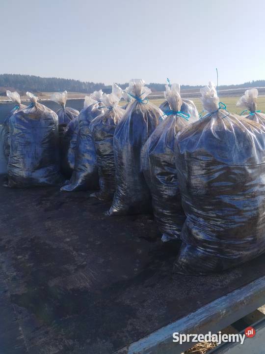 Obornik koński w workach Sobolewo sprzedam