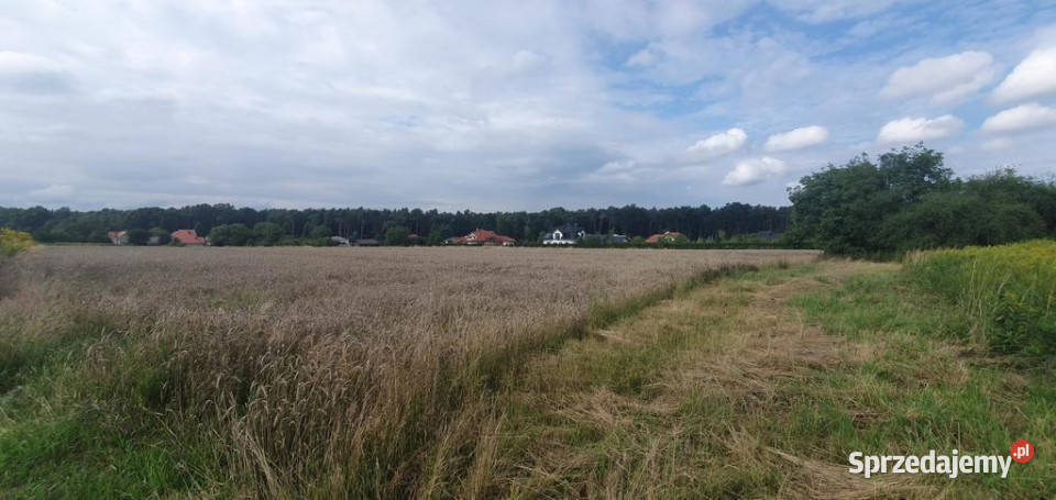 Piękna działka budowlana lasu 17arŚwidnik