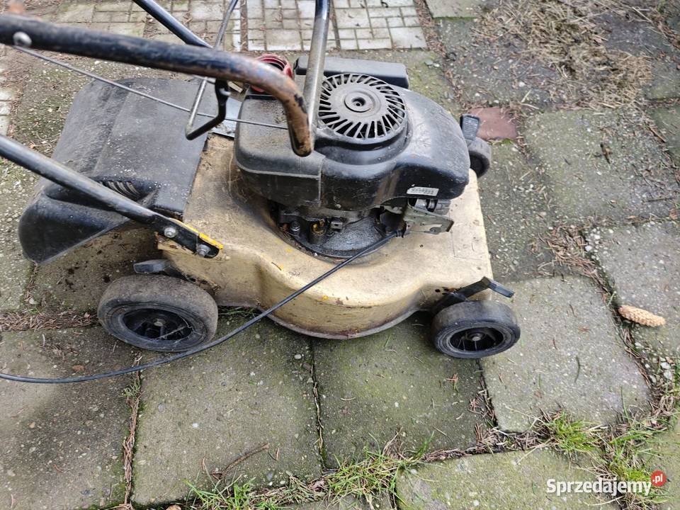 Kosiarka spalinowa Żory