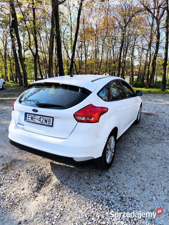 Ford Focus 2016 15 diesel manual 435000km Galewice