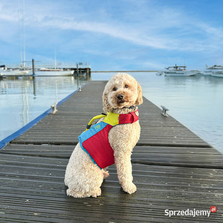 Kamizelak ratunkowa psa Fido Spinlock Gdańsk