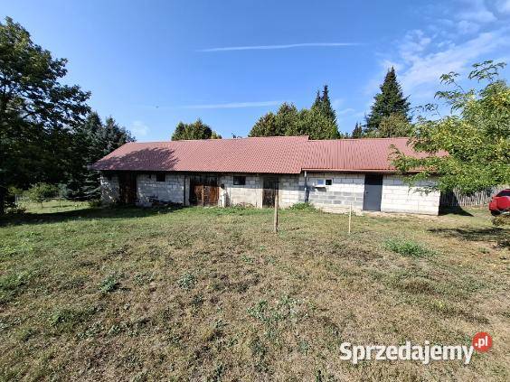 Dom z działką 50000m2 gmina Jasionówka gospodarstwo