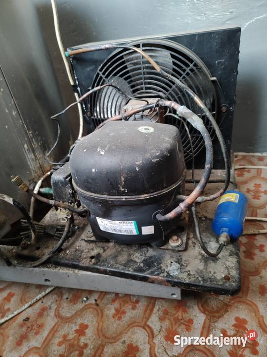 Schładzalnik do mleka Mannus 200 litrów Bogoria