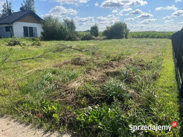 Działkę sprzedam 1100m2 Kryniczno dolnośląskie