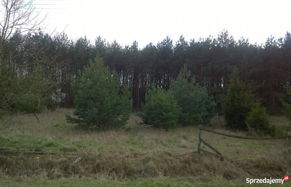 działka budowlana 895m2 Skubarczewo