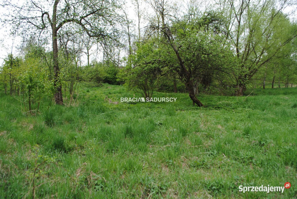 Sprzedaż gruntu 2340m2 Chobędza sprzedam