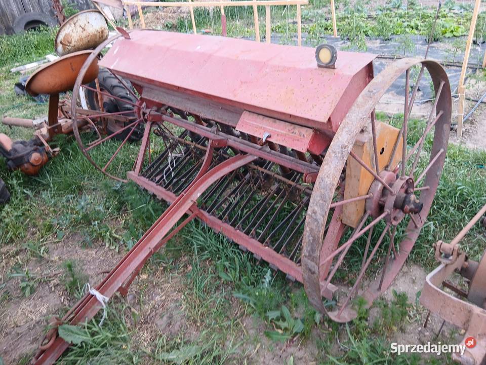 Siewnik konny sprzedam