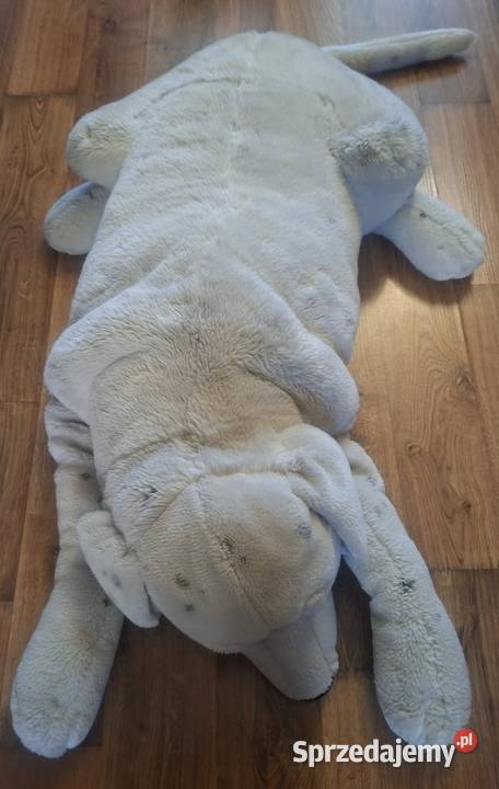 Duża maskotka pies poduszka pluszak leżący 111 lubuskie