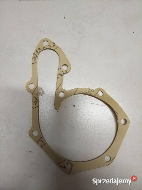 Valeo 506019 pompa wody Renault nowa Lublin