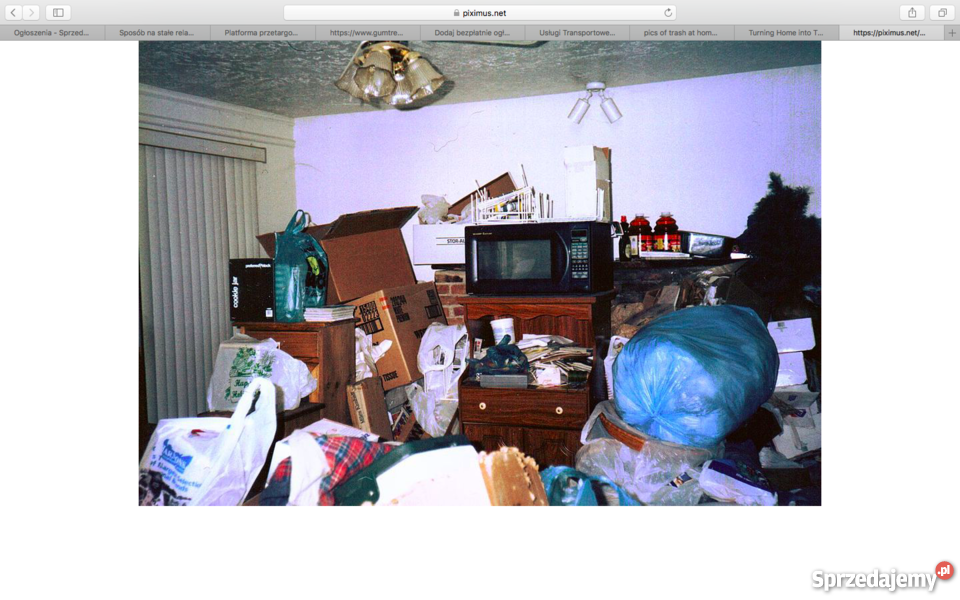 Sprzątanie i Likwidacja Mieszkań Hal Magazynów Katowice