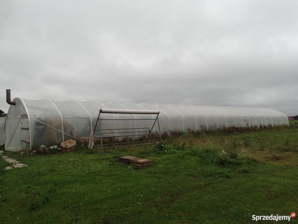 Tunel foliowy o wymiarach 32m x 7m