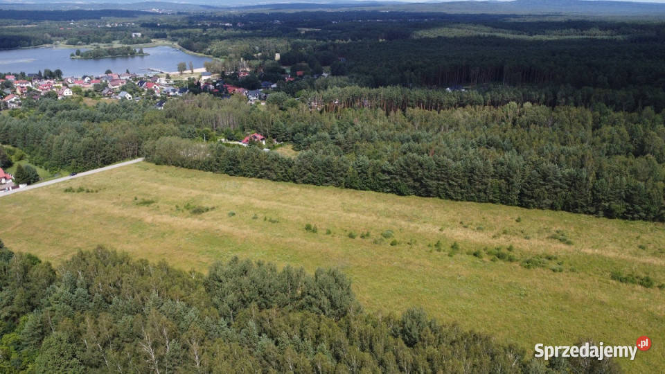 Grunt Daleszyce 23170m2 szambo sprzedam