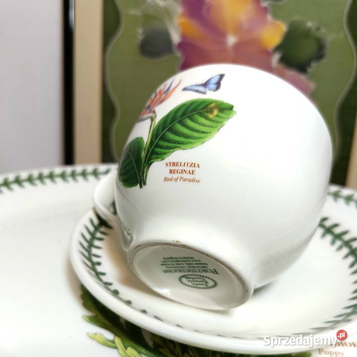 Filiżanak porcelanowa Portmeirion Szczytno
