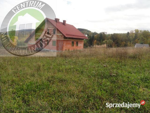 Do sprzedaży dom wolnostojący Stara Wieś 2445m2 Sprzedaż sprzedam