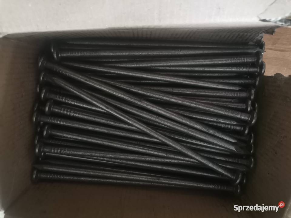 Gwozdzie podlaskie Białystok