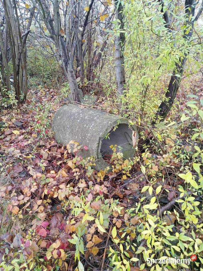 Dreny 15050 Pozostałe Piotrków Trybunalski