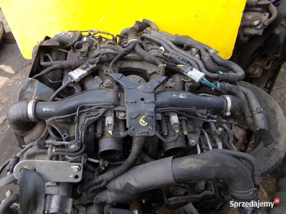 RANGE ROVER SPORT L322 36 TD V8 10r 272 368DT osobowe Suków sprzedam