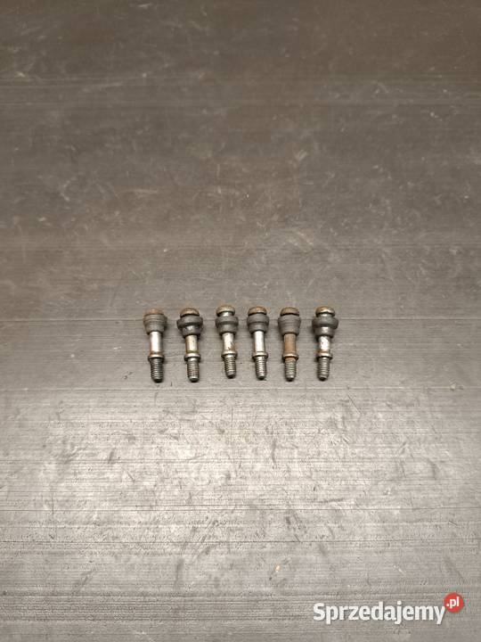 Śruby śrubki pokrywy magneta lewej silnik części Gołaczewy