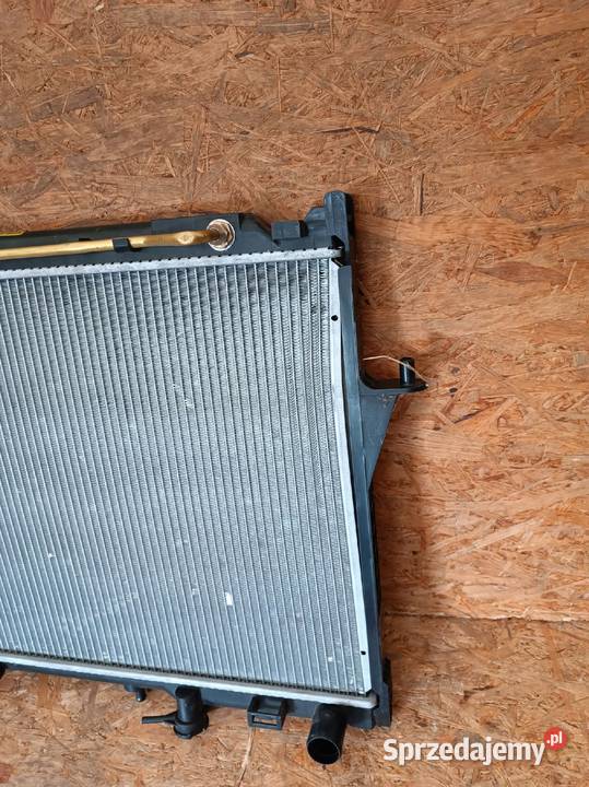 CHŁODNICA WODY ISUZU D DIESEL 2009 Chłodnice oleju sprzedam