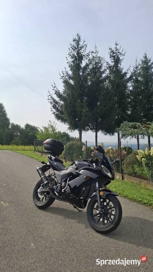 Zip pro 50125 Rok produkcji 2013