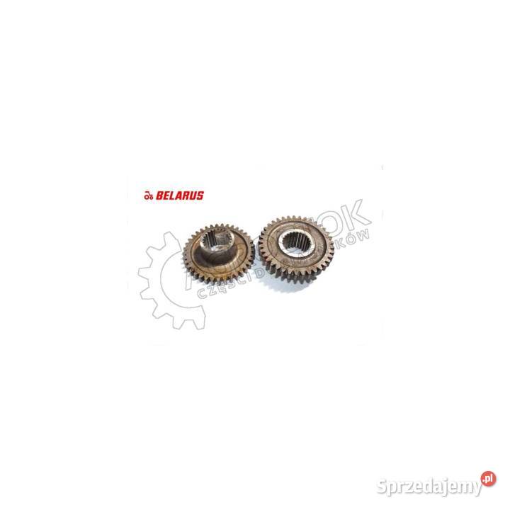 Koło zębate z3724 mtz 1025 1221 oryginał Parczew
