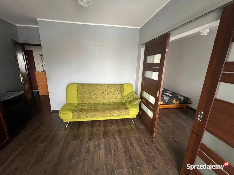 2 pokoje Gdańsk Przymorzezwierzęta mile