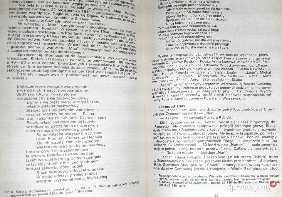 Steny biją celnie Stanisław Maria Jankowski Chełm sprzedam