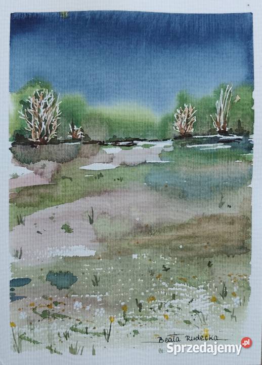 Akwarela Akwarelka Obraz pt Granatowa Cisza 135 Malarstwo sprzedam