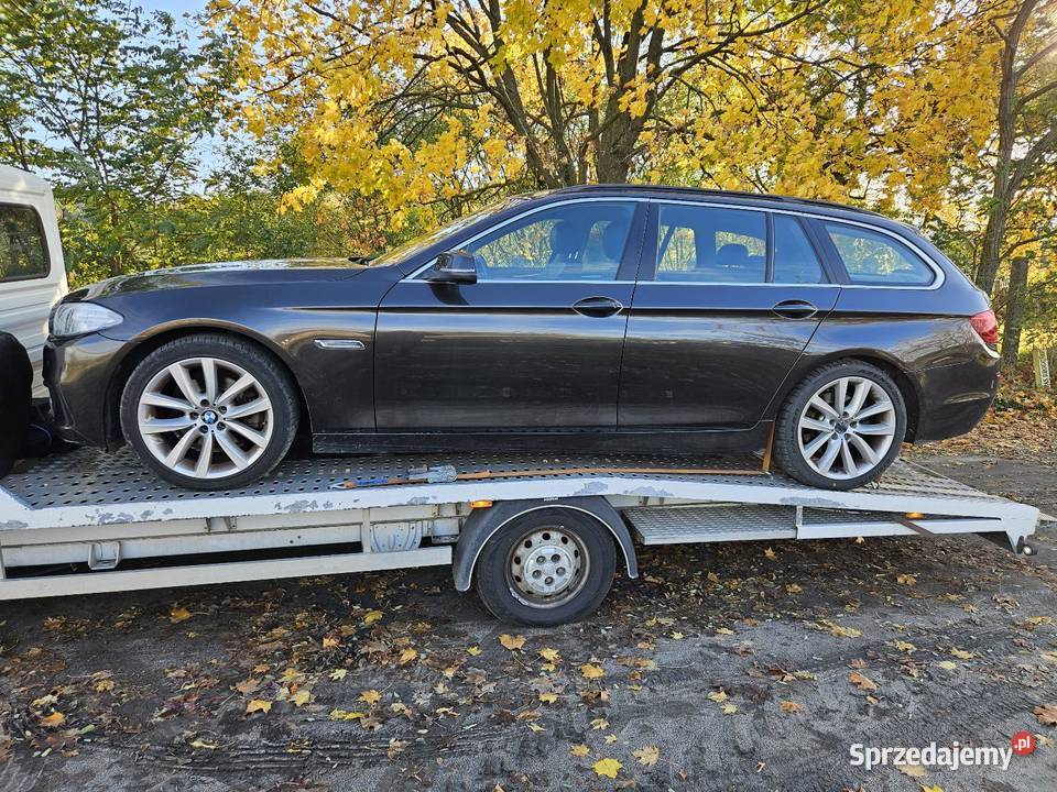 Bmw F11 Lift Seria 5 Duża Navi Xenon Alu 19 Mały światła do jazdy dziennej Czarnków