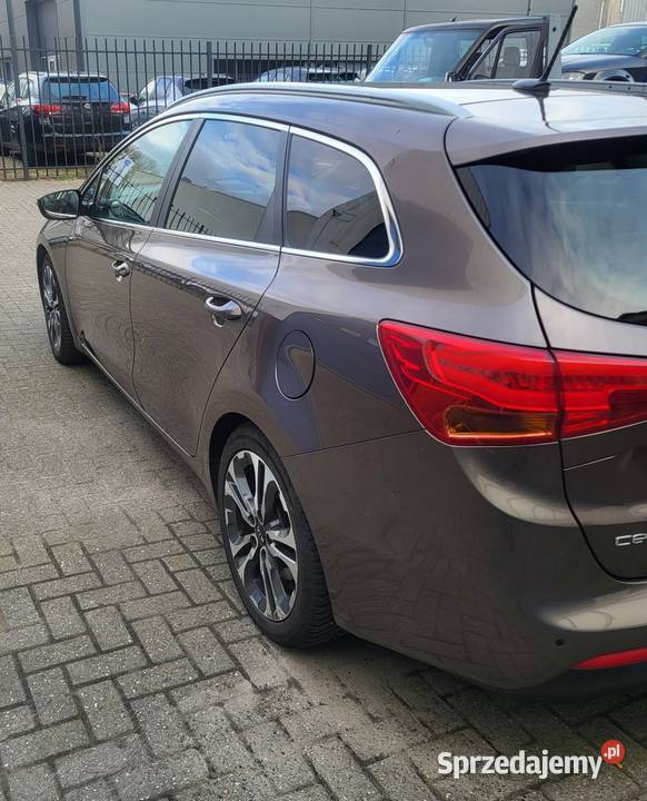 Kia Ceed panoramiczny dach 16 CDRI 128 reflektory ksenonowe Gliwice