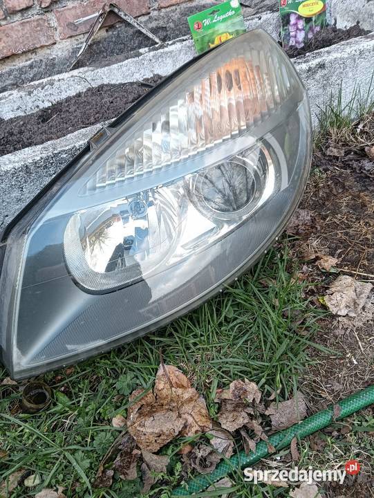 Lampy Scenic II Xenon całe kompletne eu wielkopolskie