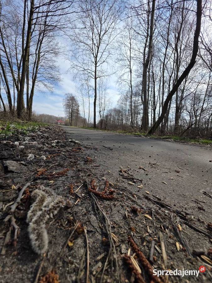 Działka rolna z możliwością budowy w uroczej Bardzynin