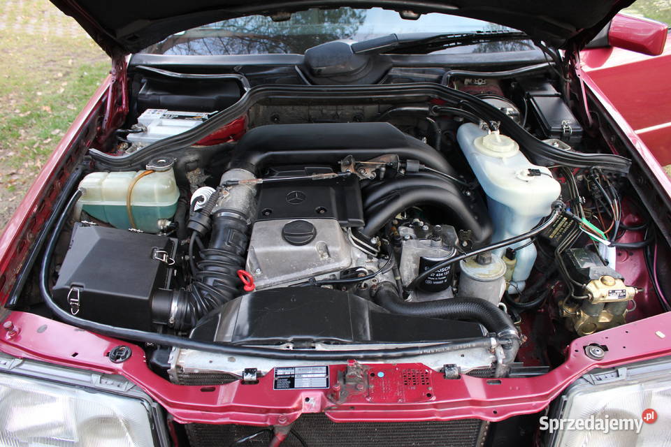 Mercedes Benz W124 E250 25 Diesel 1994 Tomaszów Lubelski