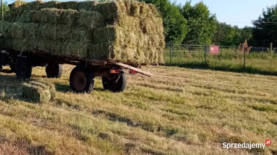 Siano w kostkach świeże możliwość transportu