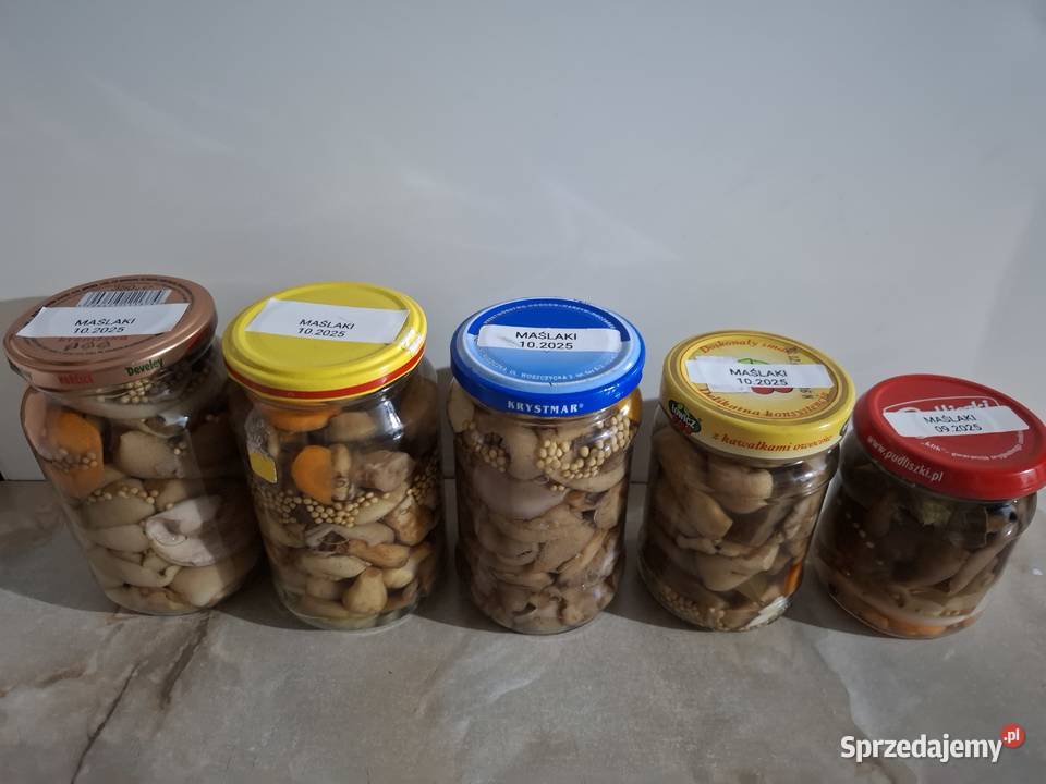 Koźlarzekozaki maślaki zajączki marynowane w śląskie Czyżowice