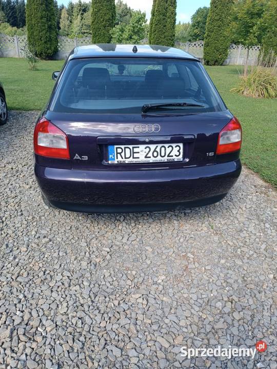 Audi A3 8L Polifit 2002r 16MPI LPG Stan benzyna+LPG Gromnik