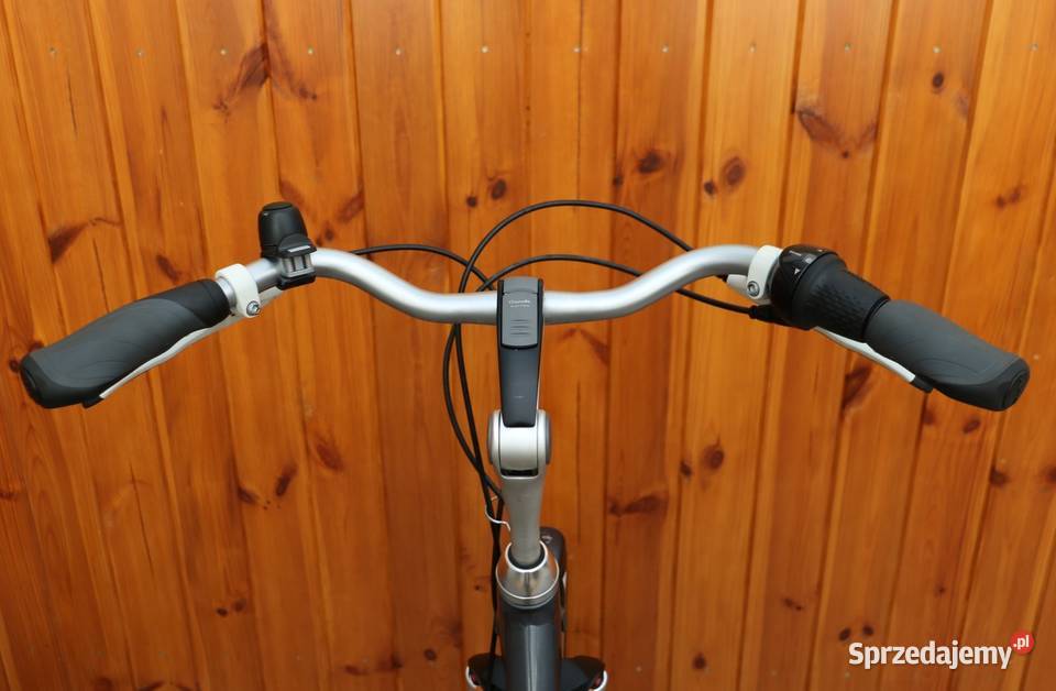 Rower damski Gazelle Eclipse D 53 RATY Milanówek