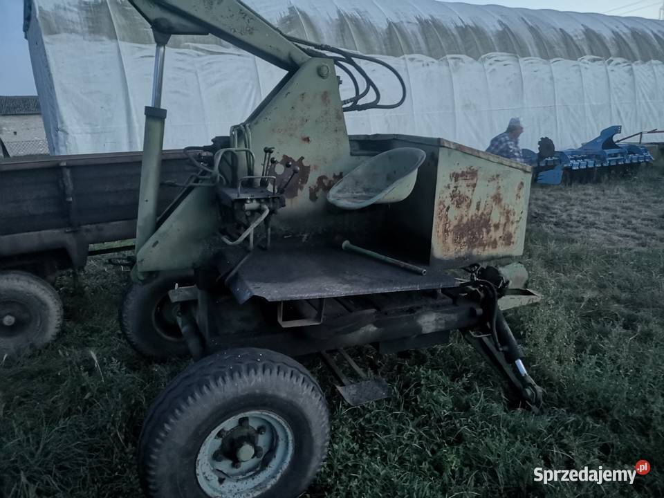 Cyklop rolniczy nieuszkodzony Warszówka